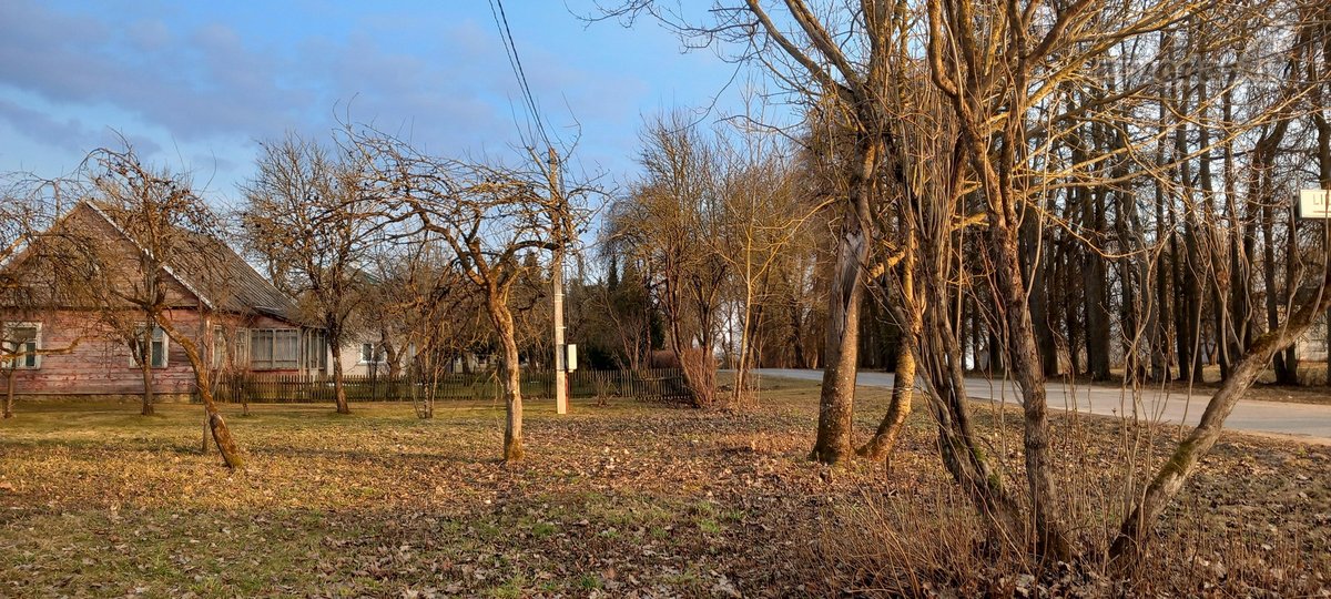 Raseinių rajone, Žibulių kaime, Dvaro gatvėje - nuotraukos Nr. 8