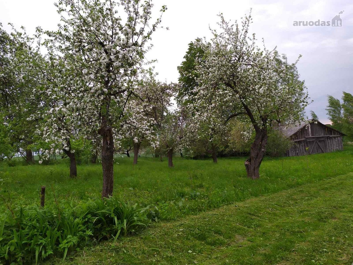Parduodama sodyba 4,9215 ha su gyvenamuoju - nuotraukos Nr. 7