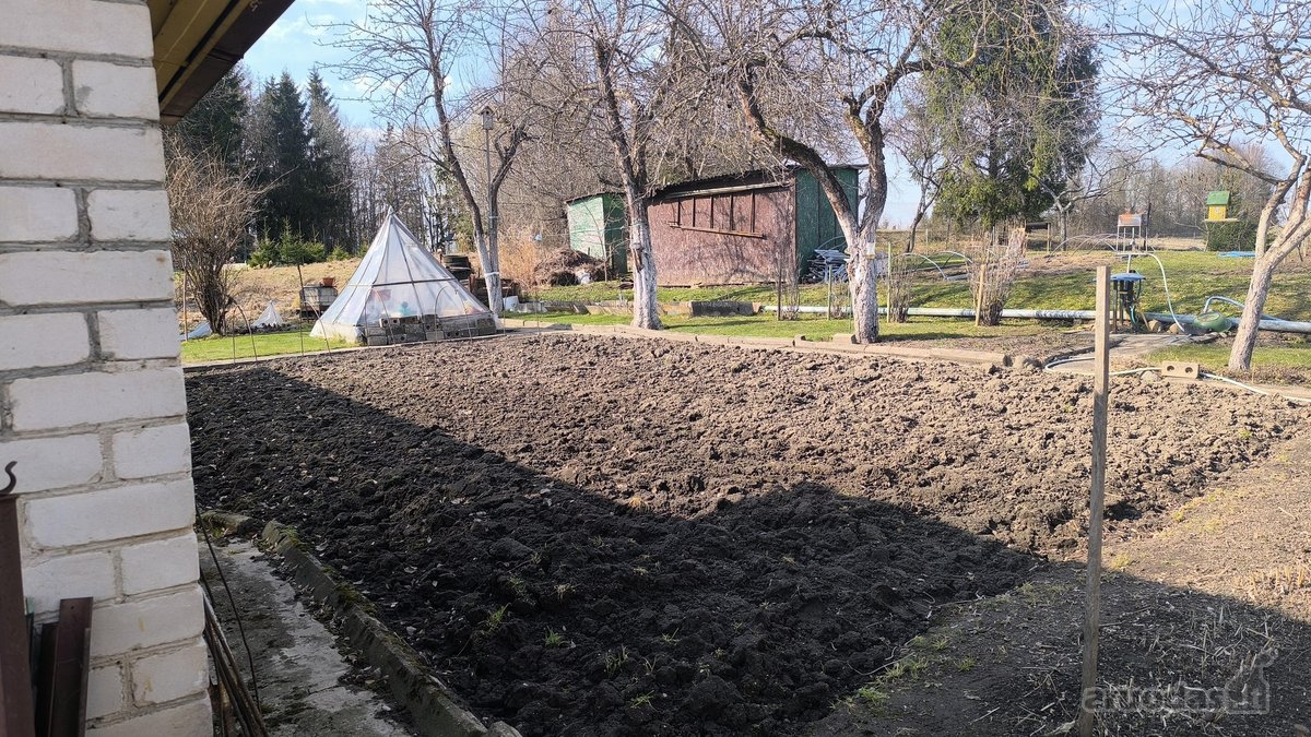 Šis unikalus sodo namelis pastatytas ant - nuotraukos Nr. 15
