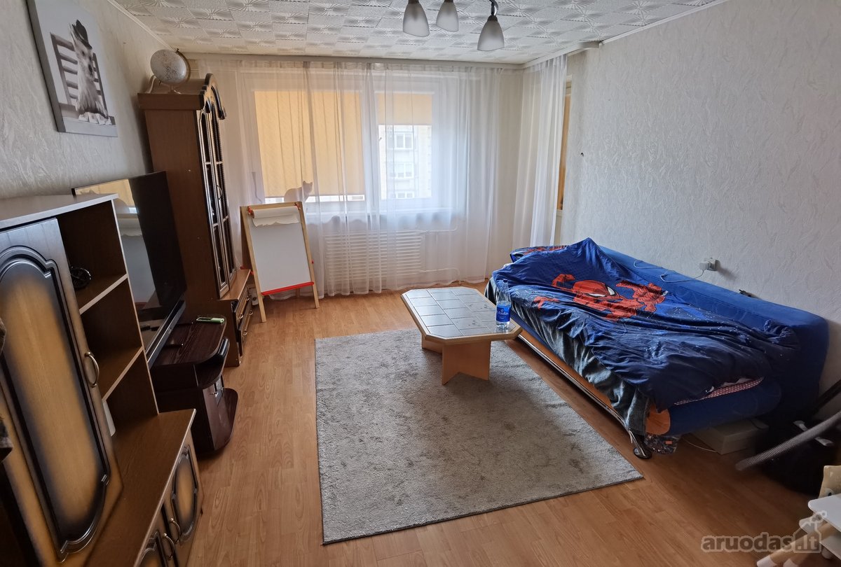 Butas su palėpe Vidzgiryje, Alytuje. - nuotraukos Nr. 11