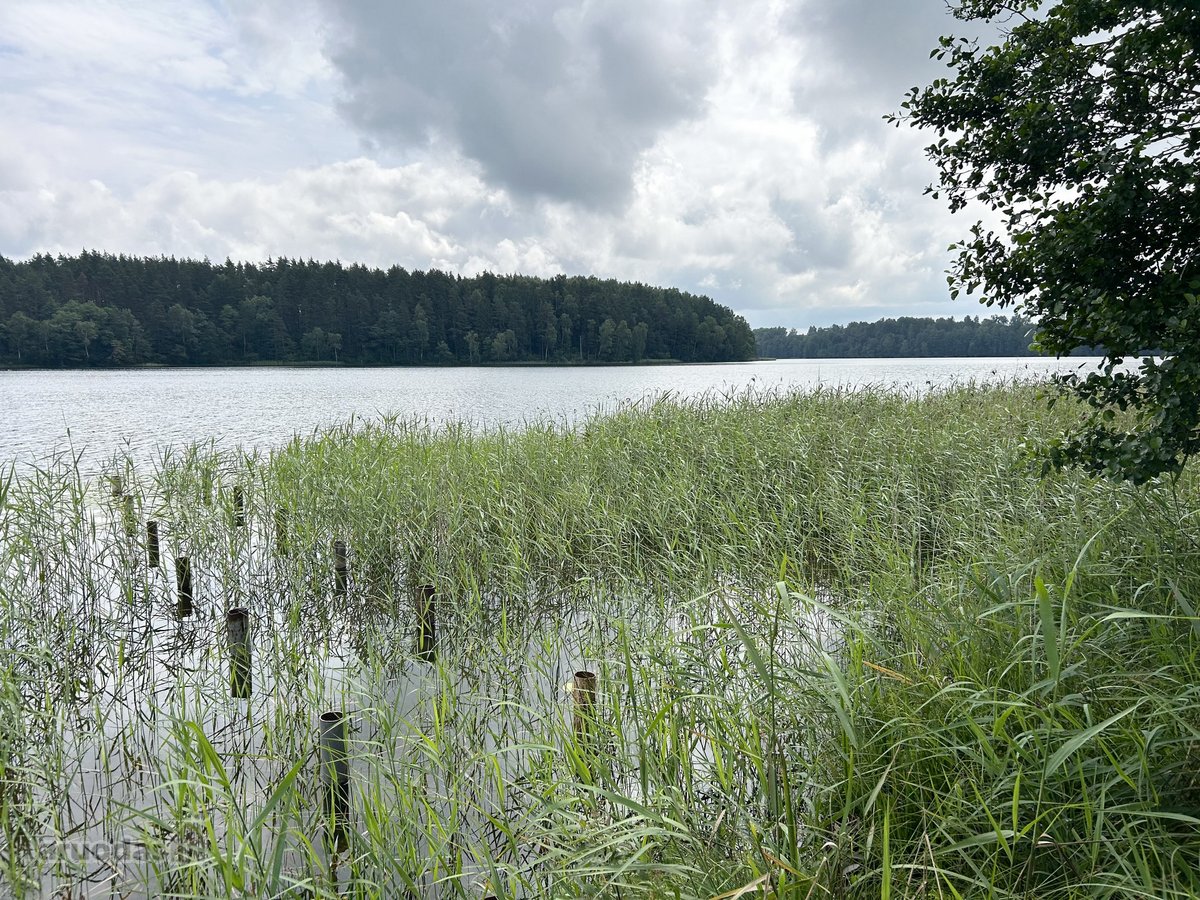 Parduodamas žemės ūkio paskirties sklypas - nuotraukos Nr. 11