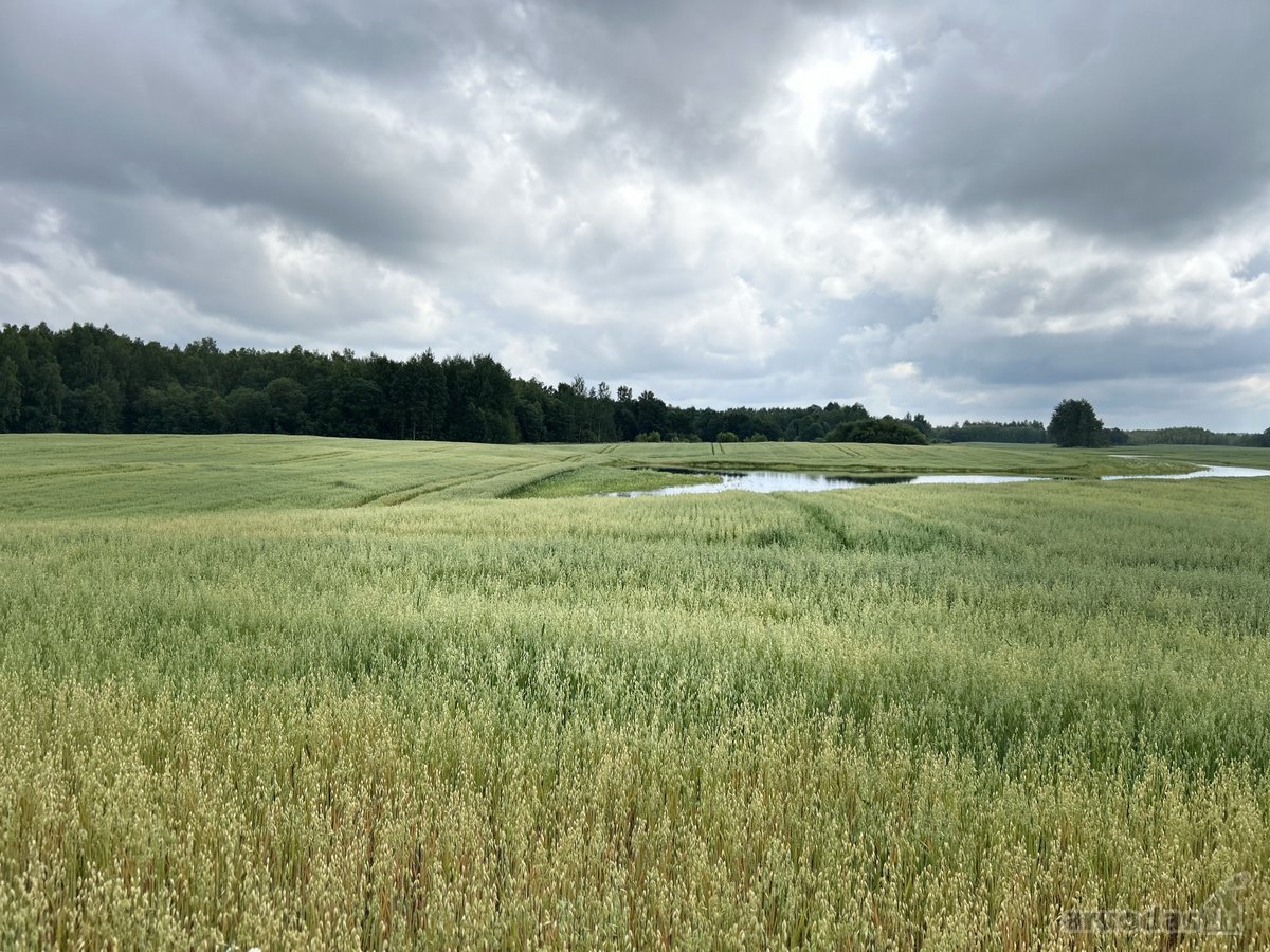 Parduodamas žemės ūkio paskirties sklypas - nuotraukos Nr. 5