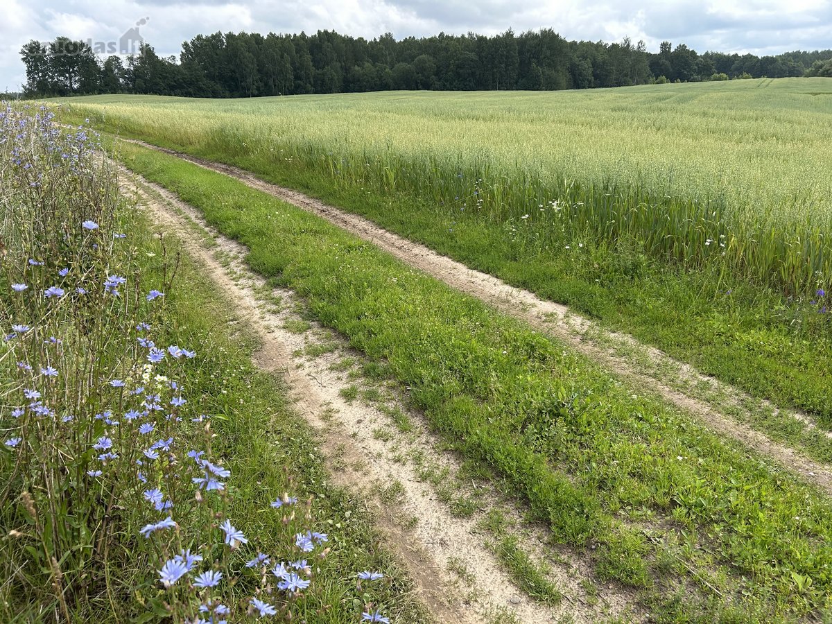 Parduodamas žemės ūkio paskirties sklypas - nuotraukos Nr. 9