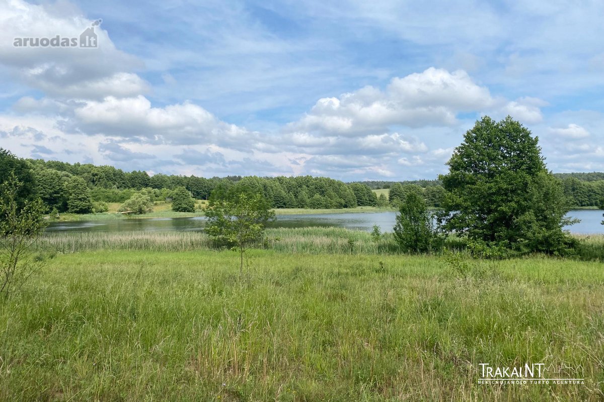 Parduodama Sena Sodyba Su 3,54 Ha Žemės Ir - nuotraukos Nr. 9