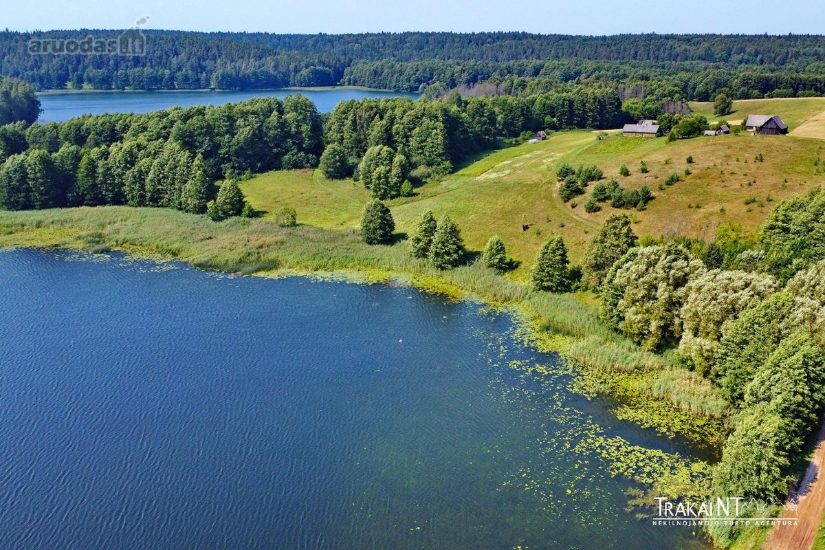 Parduodama Sena Sodyba Su 3,54 Ha Žemės Ir - nuotraukos Nr. 13