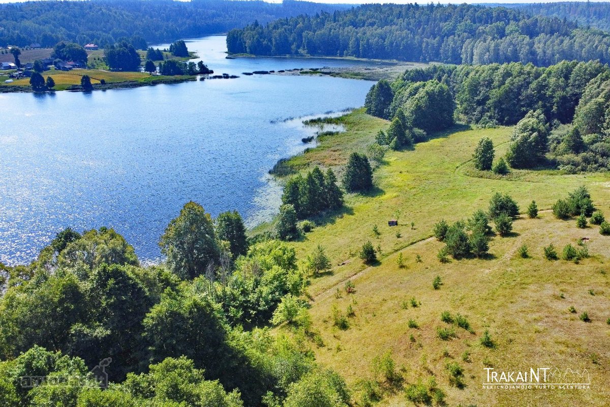 Parduodama Sena Sodyba Su 3,54 Ha Žemės Ir - nuotraukos Nr. 14