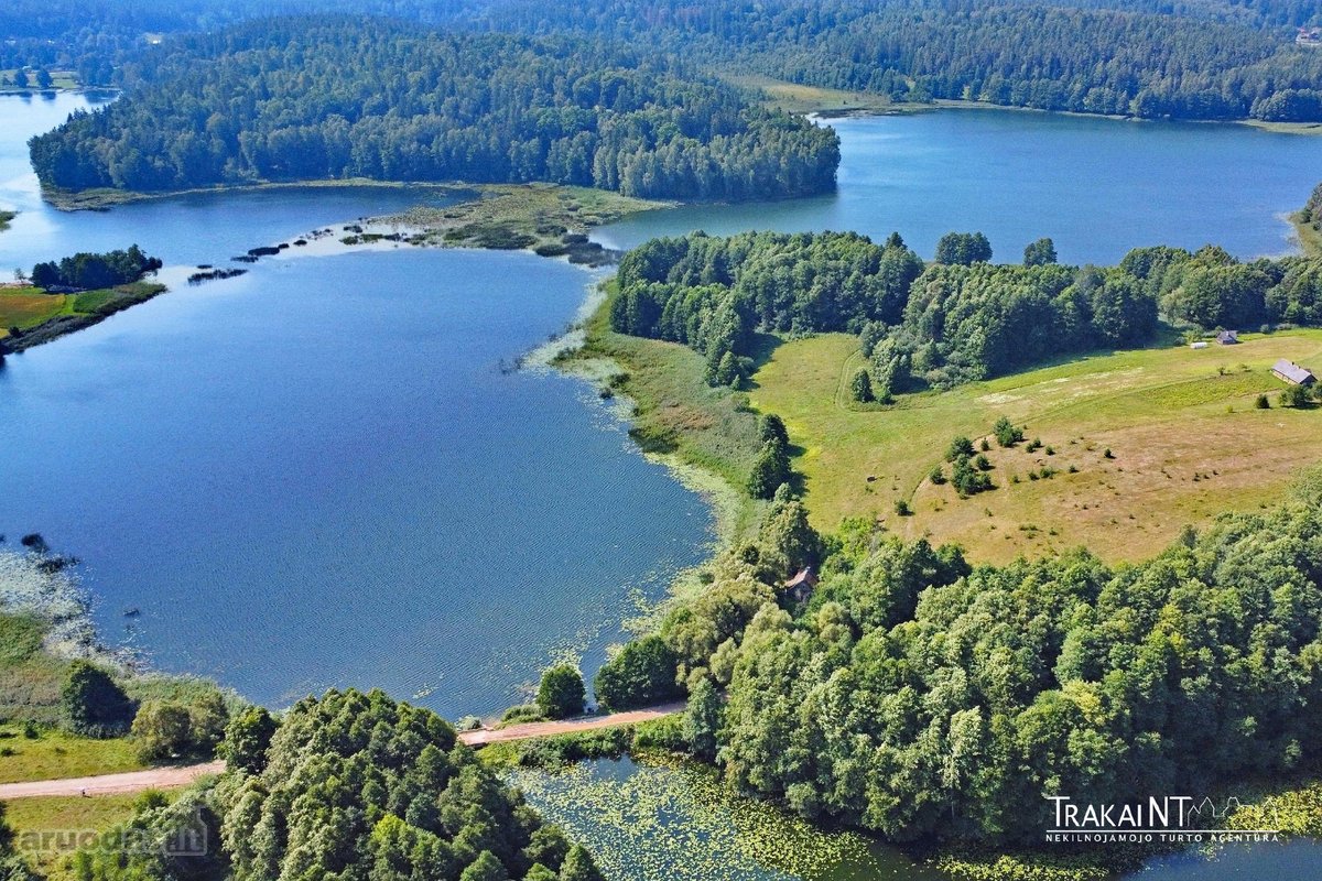 Parduodama Sena Sodyba Su 3,54 Ha Žemės Ir - nuotraukos Nr. 16