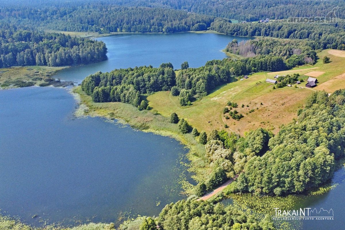 Parduodama Sena Sodyba Su 3,54 Ha Žemės Ir - nuotraukos Nr. 17