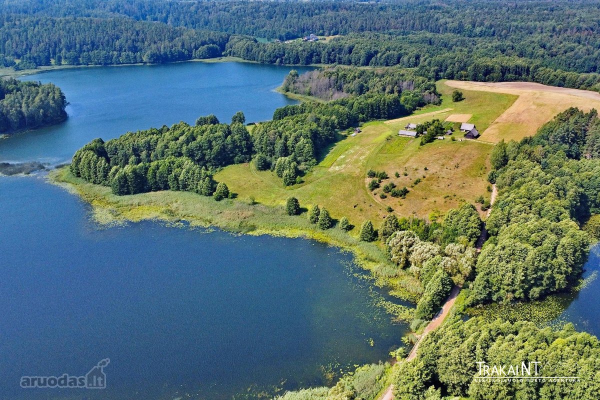 Parduodama Sena Sodyba Su 3,54 Ha Žemės Ir - nuotraukos Nr. 18