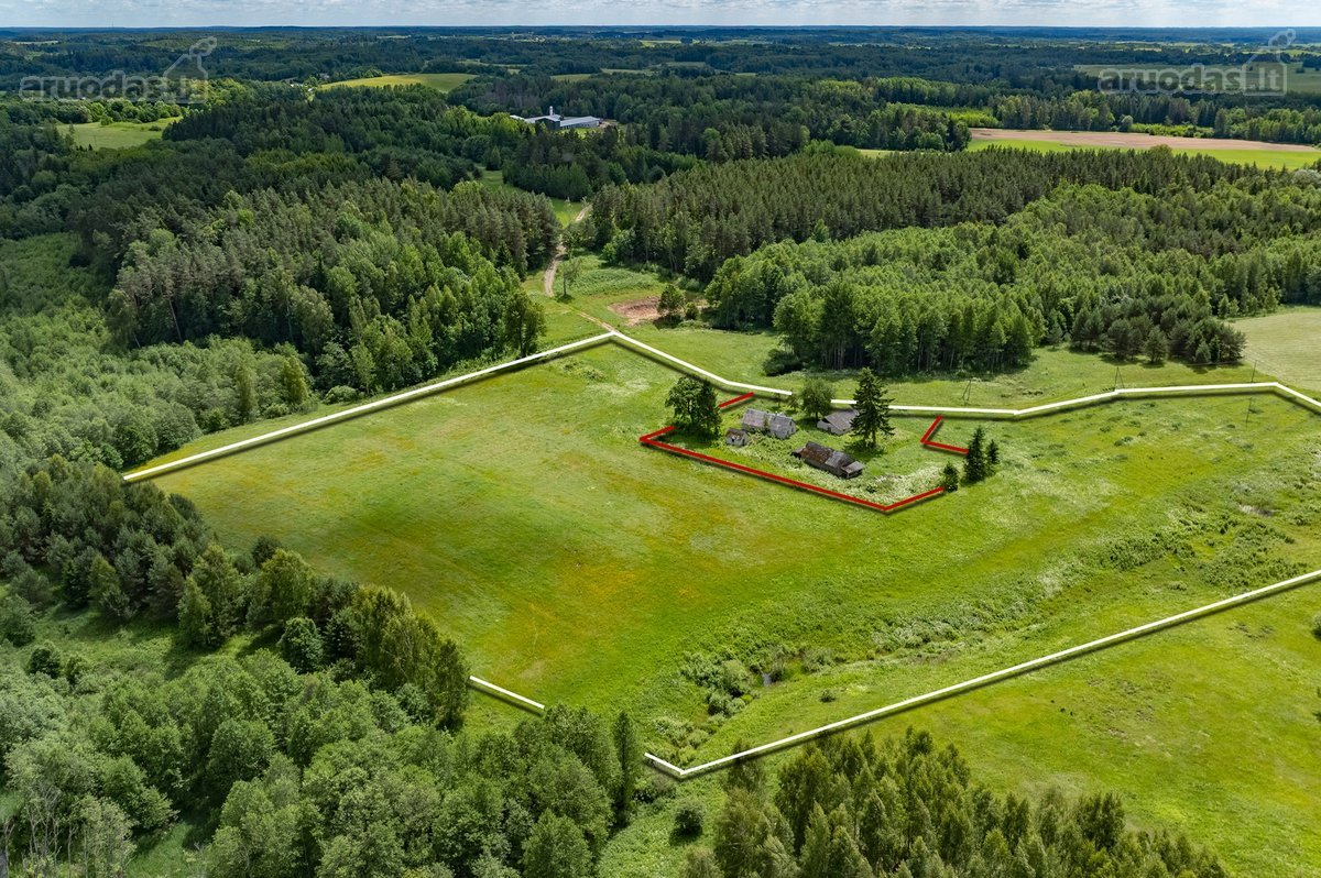 Erdvus Žemės Sklypas Su Statiniais Jūsų - nuotraukos Nr. 10