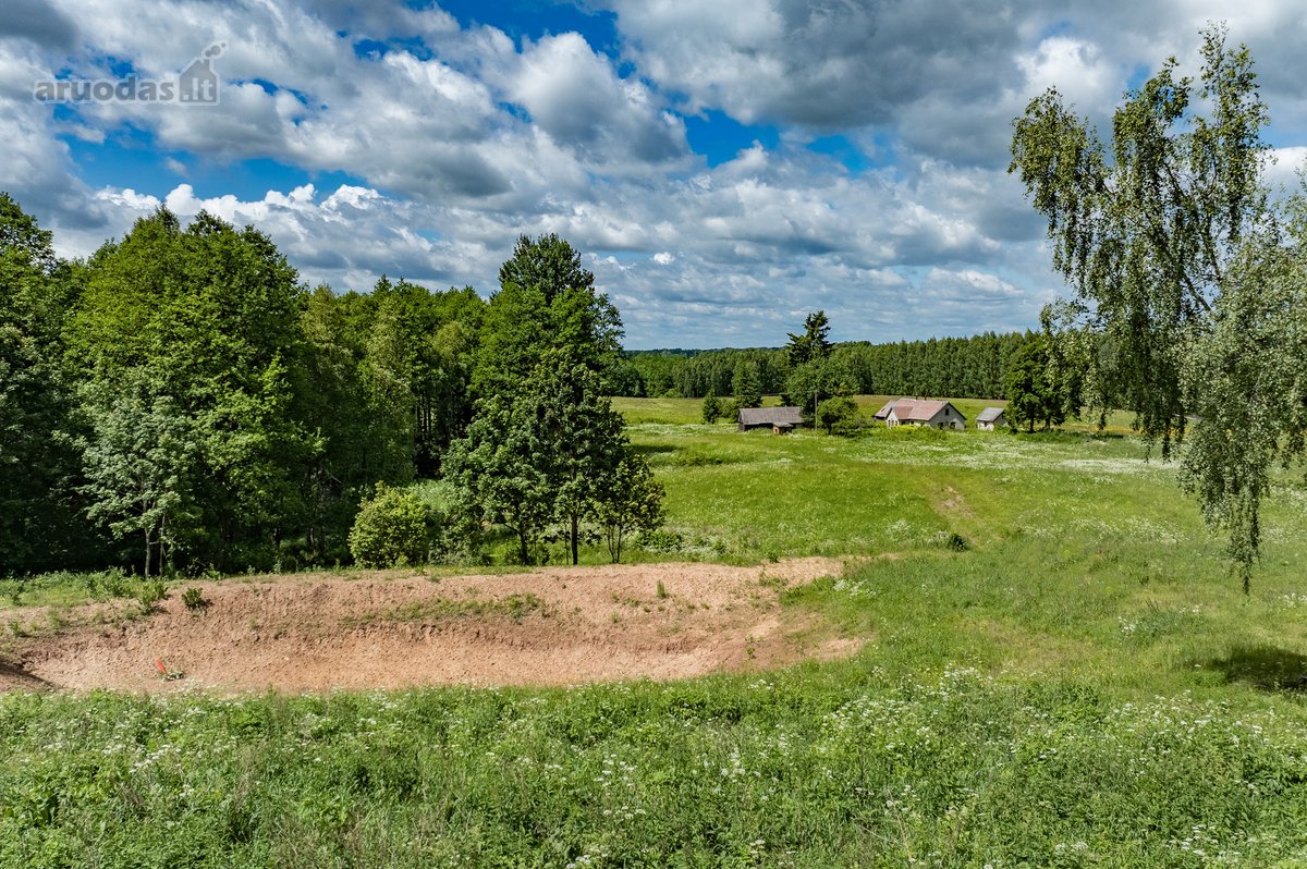 Erdvus Žemės Sklypas Su Statiniais Jūsų - nuotraukos Nr. 16