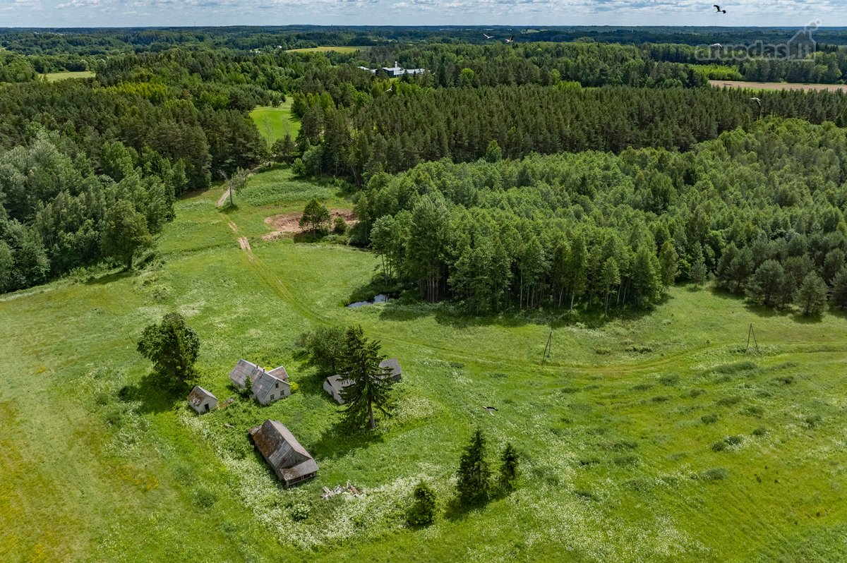 Erdvus Žemės Sklypas Su Statiniais Jūsų - nuotraukos Nr. 22