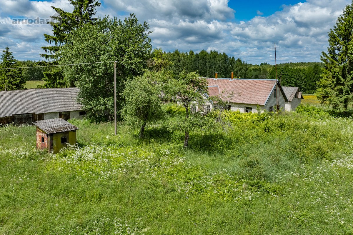 Erdvus Žemės Sklypas Su Statiniais Jūsų - nuotraukos Nr. 15