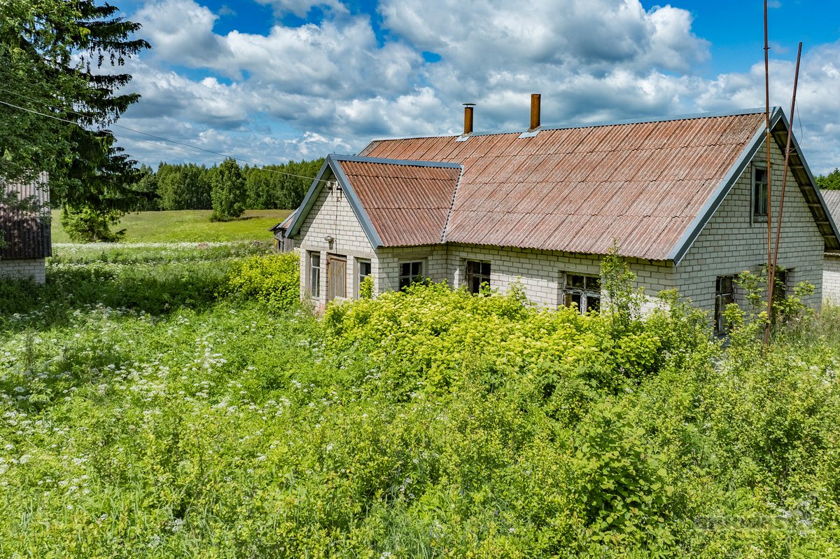 Erdvus Žemės Sklypas Su Statiniais Jūsų - nuotraukos Nr. 13