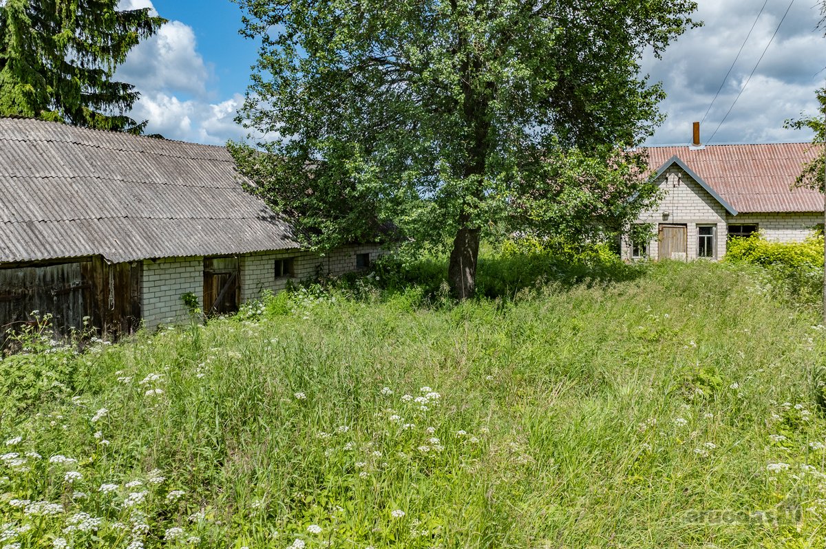Erdvus Žemės Sklypas Su Statiniais Jūsų - nuotraukos Nr. 8