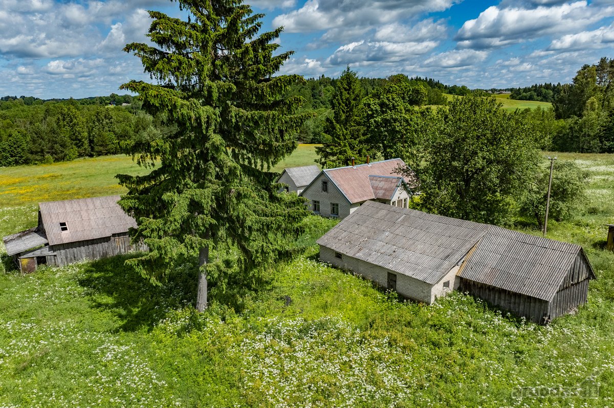 Erdvus Žemės Sklypas Su Statiniais Jūsų - nuotraukos Nr. 14