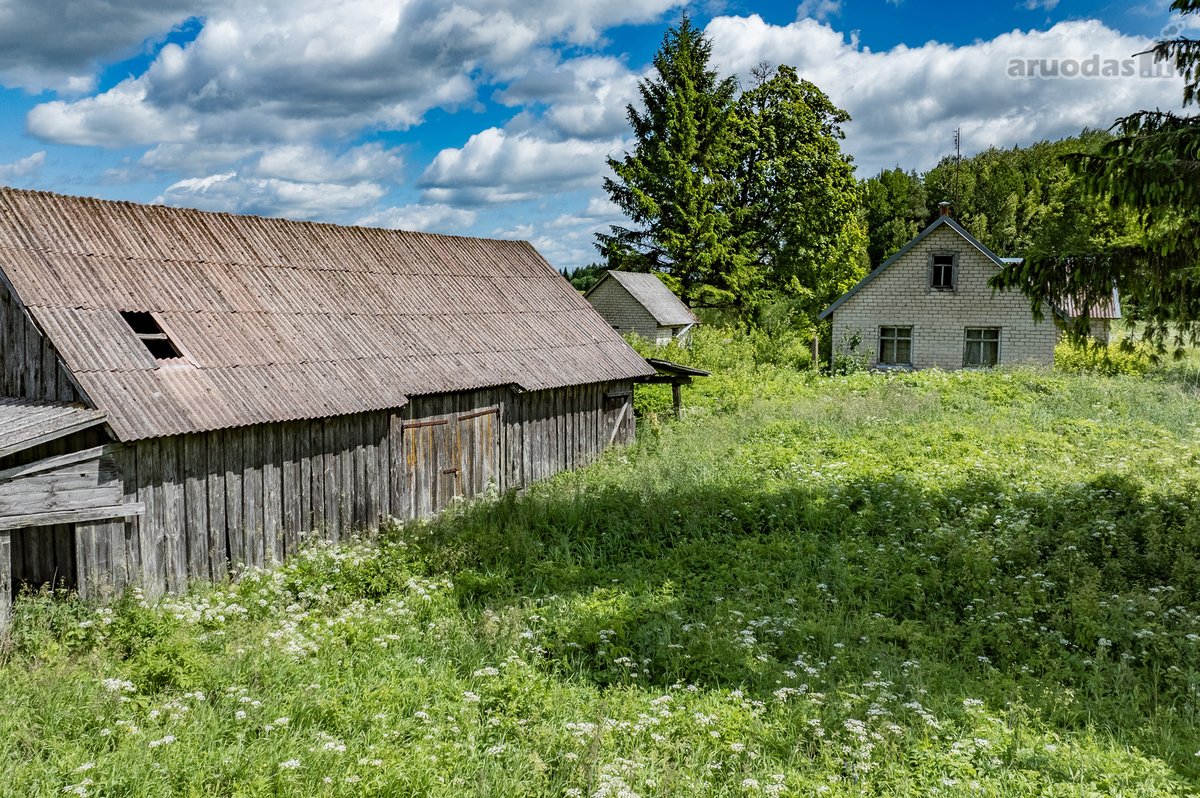Erdvus Žemės Sklypas Su Statiniais Jūsų - nuotraukos Nr. 17