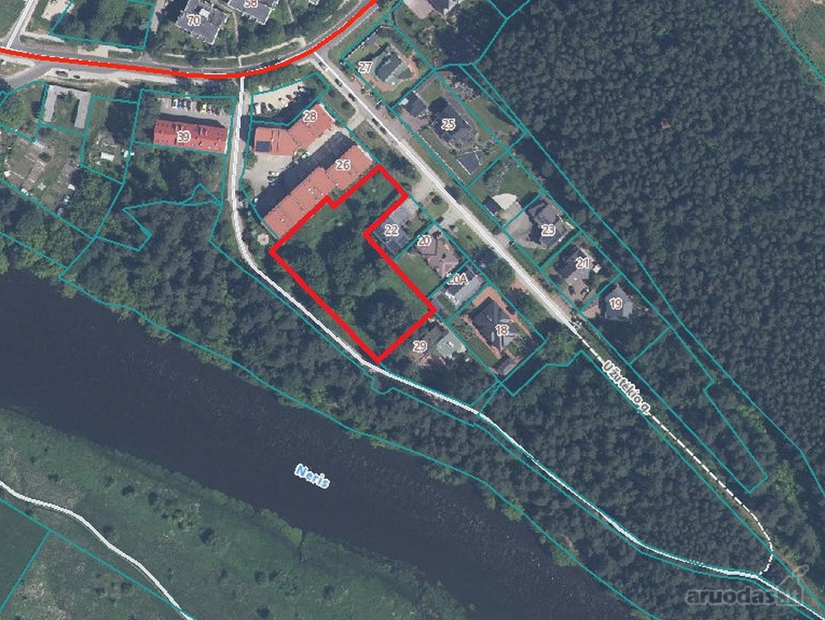 Greta Lazdynėlių, Bukčiuose, Bukčių pušyno - nuotraukos Nr. 3