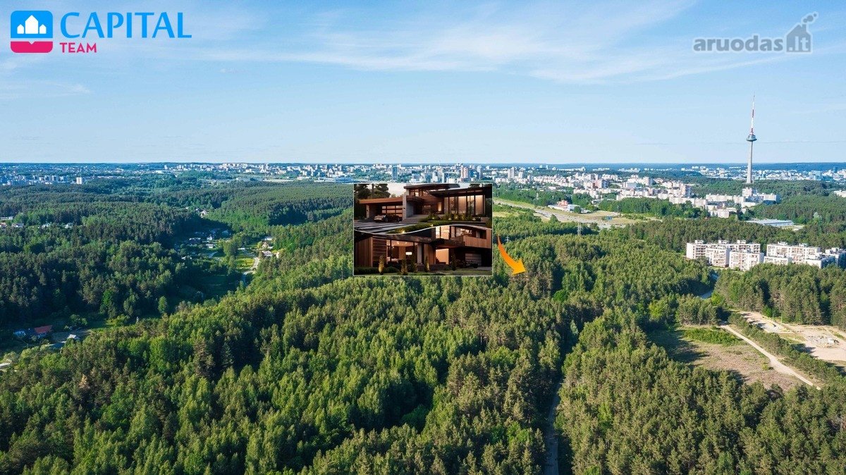 Miško Apsuptyje Parduodamas Unikalus Ir - nuotraukos Nr. 3