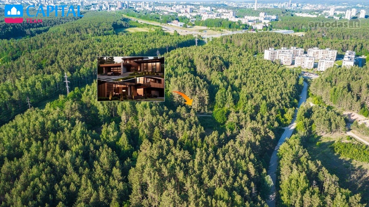 Miško Apsuptyje Parduodamas Unikalus Ir - nuotraukos Nr. 4