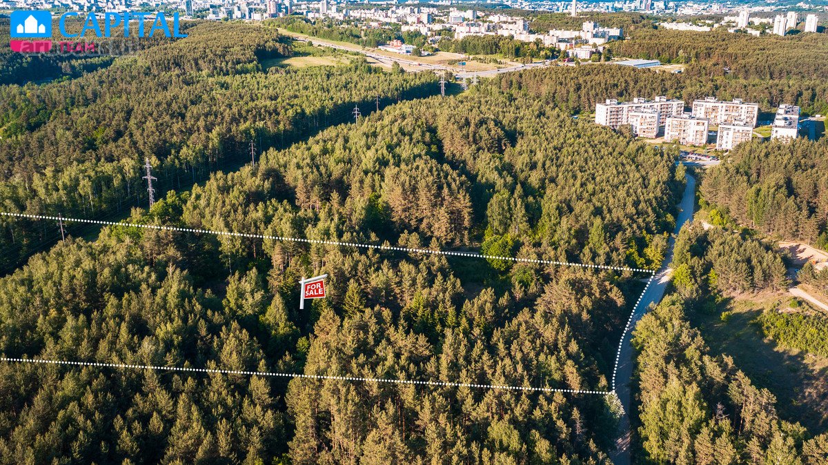 Miško Apsuptyje Parduodamas Unikalus Ir - nuotraukos Nr. 9