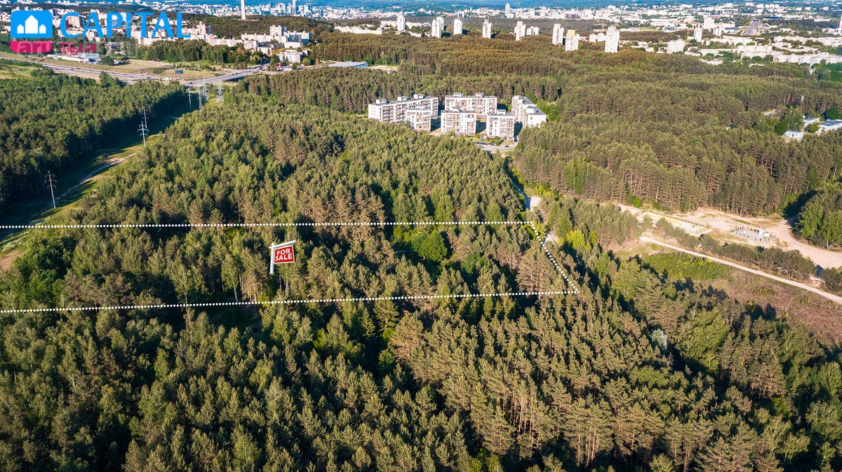 Miško Apsuptyje Parduodamas Unikalus Ir - nuotraukos Nr. 12