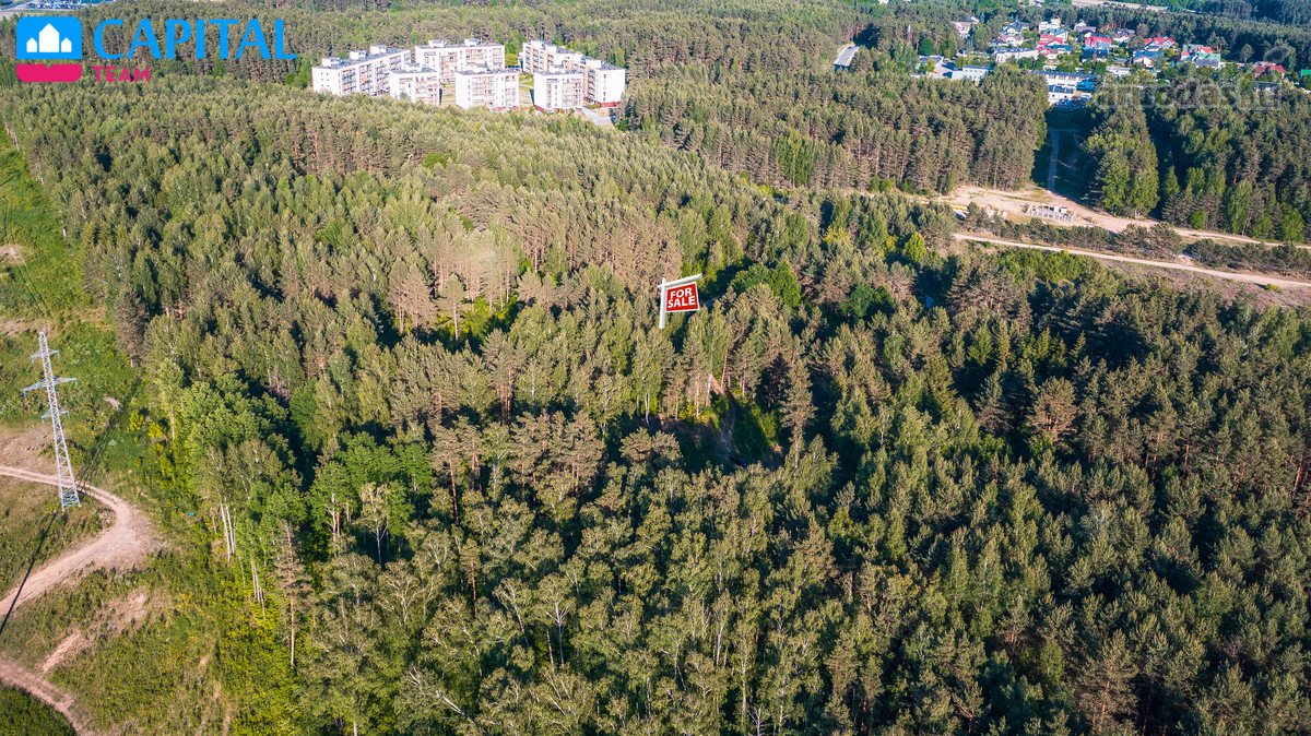 Miško Apsuptyje Parduodamas Unikalus Ir - nuotraukos Nr. 13