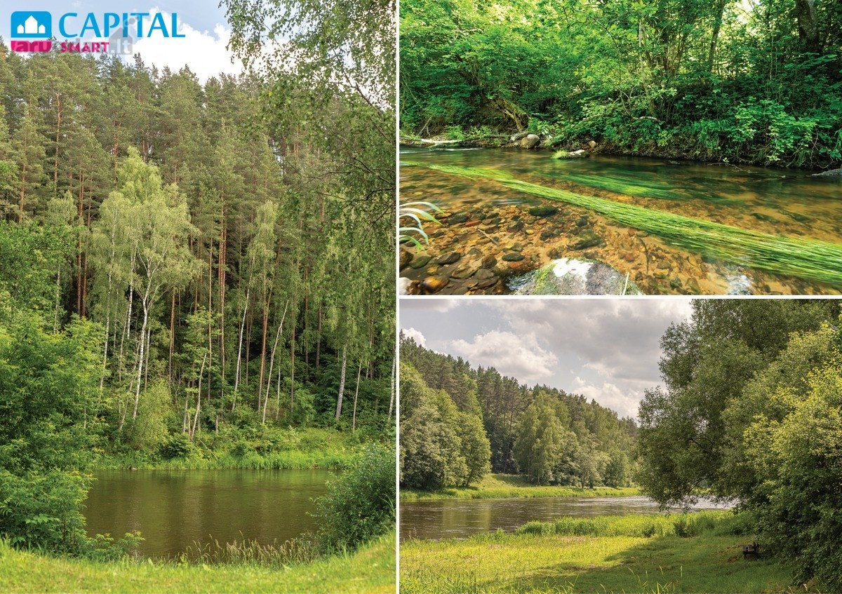 Kviečiame aplankyti ir gyvai įvertinti šiuos - nuotraukos Nr. 32