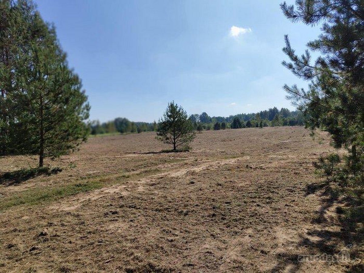 Didelis sklypas gamtos apsuptyje. Nuotraukos - nuotraukos Nr. 2