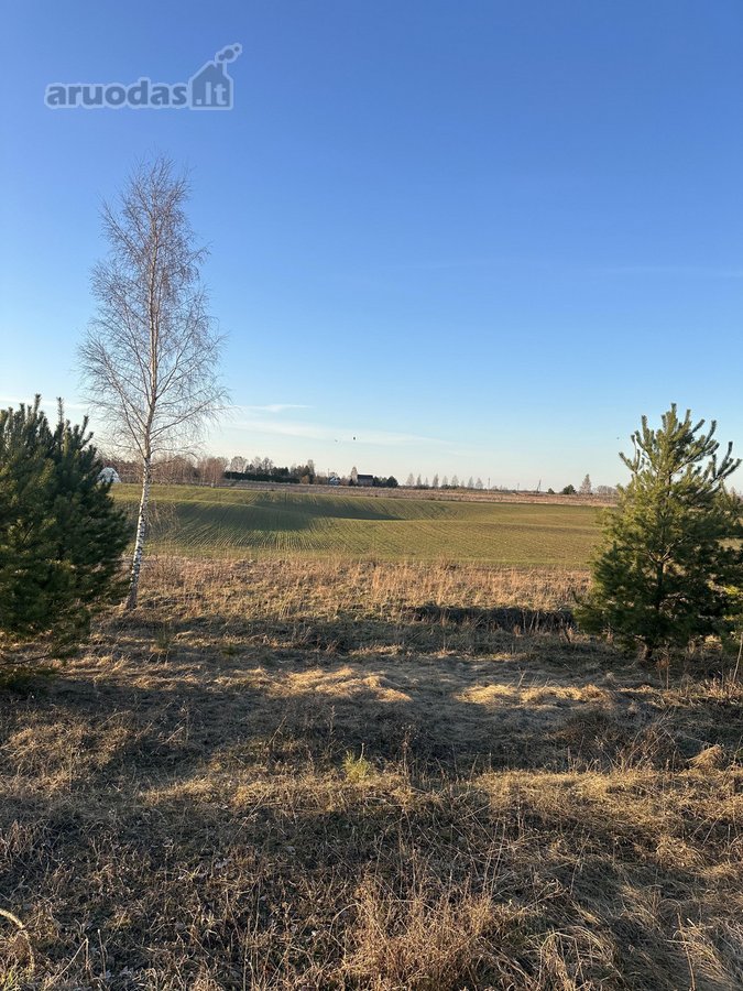 Parduodami Namų Valdos Sklypai Naujame - nuotraukos Nr. 9