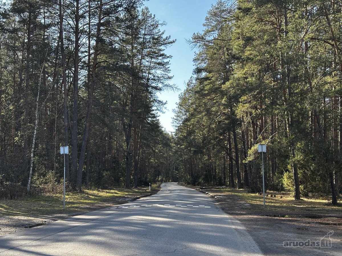 Nuomojamas jaukus namelis ramioje ir žalumos - nuotraukos Nr. 16