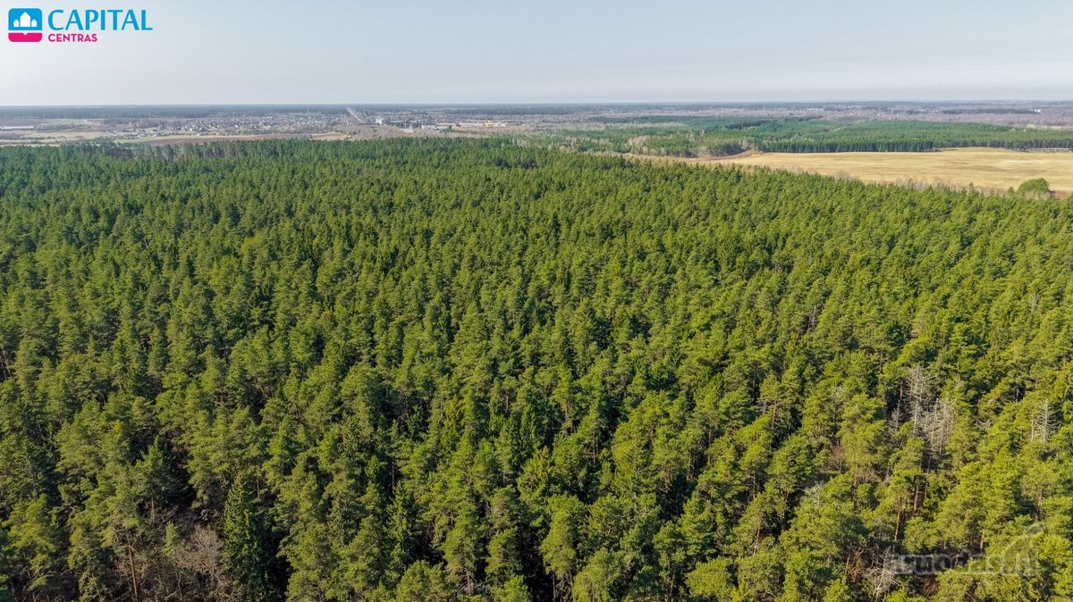 Parduodamas Kokybiškai Įrengtas 4 Kambarių - nuotraukos Nr. 45