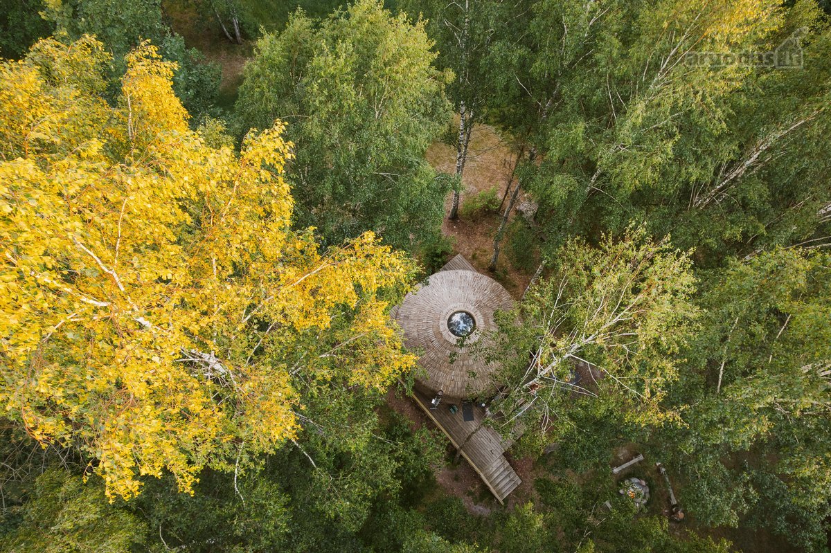 Investicinė galimybė Dzūkijoje – 6,3 ha - nuotraukos Nr. 3