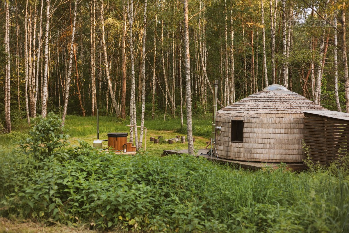 Investicinė galimybė Dzūkijoje – 6,3 ha - nuotraukos Nr. 4