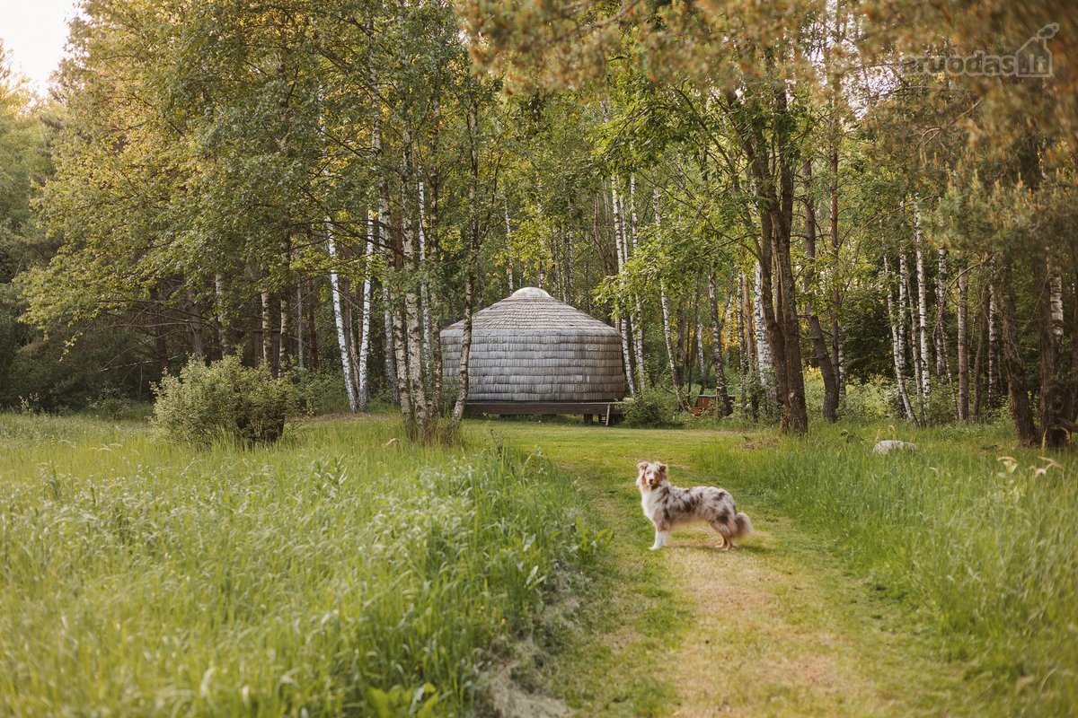Investicinė galimybė Dzūkijoje – 6,3 ha - nuotraukos Nr. 2
