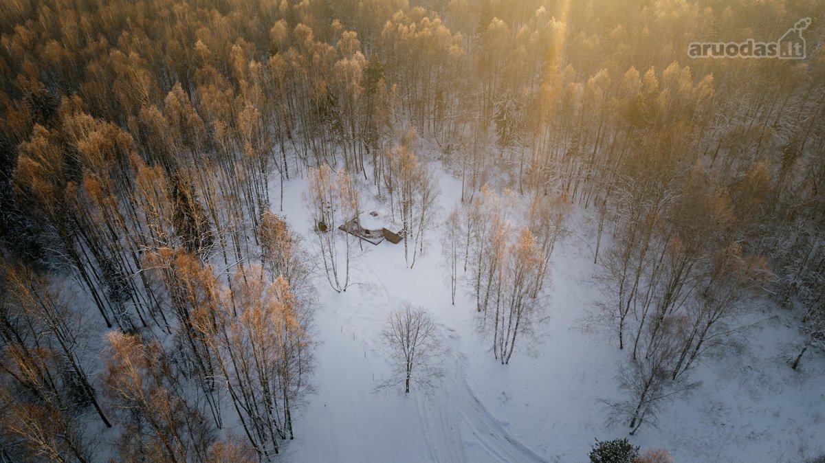 Investicinė galimybė Dzūkijoje – 6,3 ha - nuotraukos Nr. 25