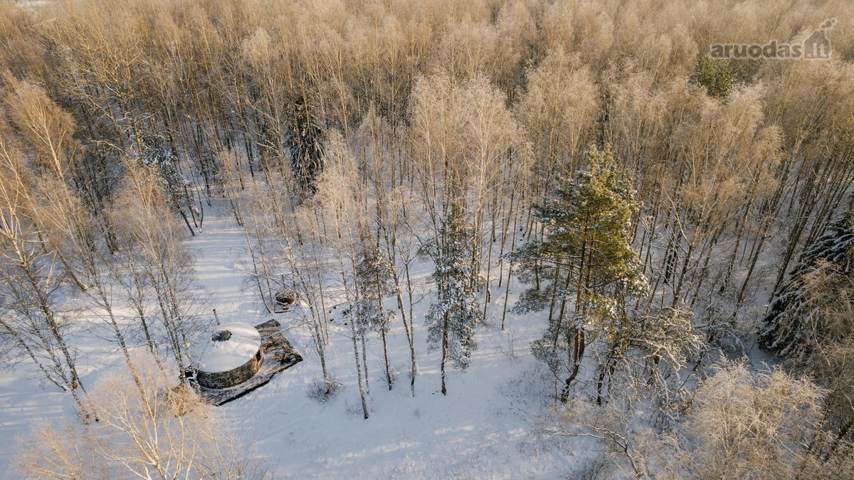 Investicinė galimybė Dzūkijoje – 6,3 ha - nuotraukos Nr. 6