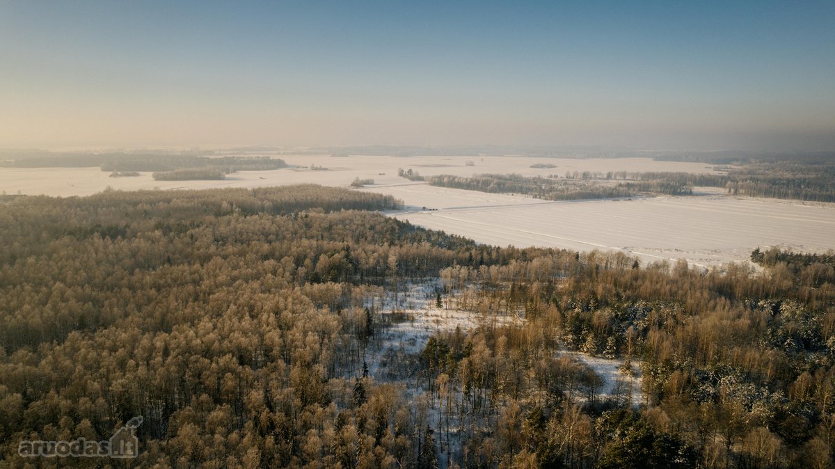 Investicinė galimybė Dzūkijoje – 6,3 ha - nuotraukos Nr. 7