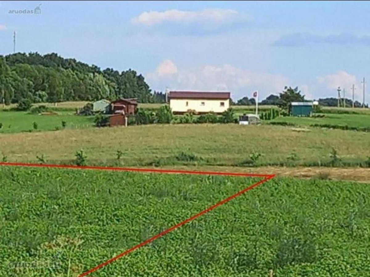 Laba ,parduodamas sklypas tarp Pikeliskiu ir - nuotraukos Nr. 14