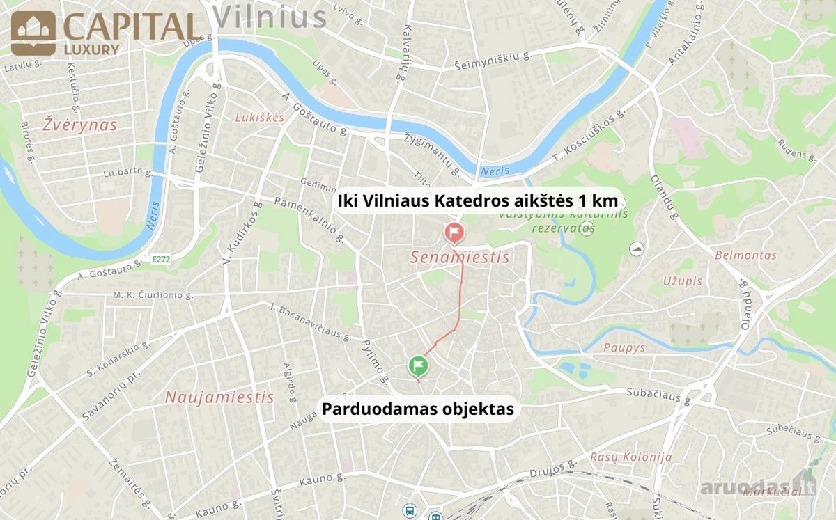 Parduodamas Išskirtinis, Itin Erdvus 4 - nuotraukos Nr. 29