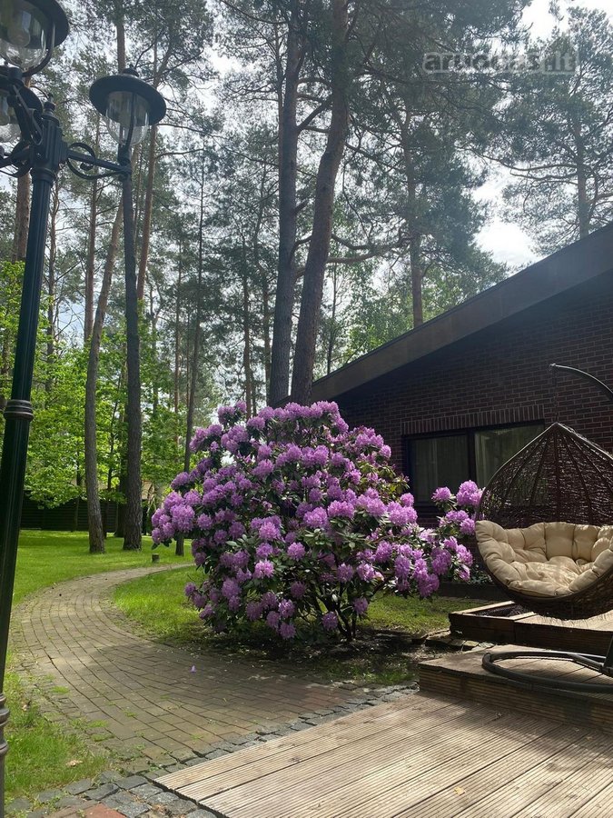 Privati rezidencija 37 arų sklype, - nuotraukos Nr. 37