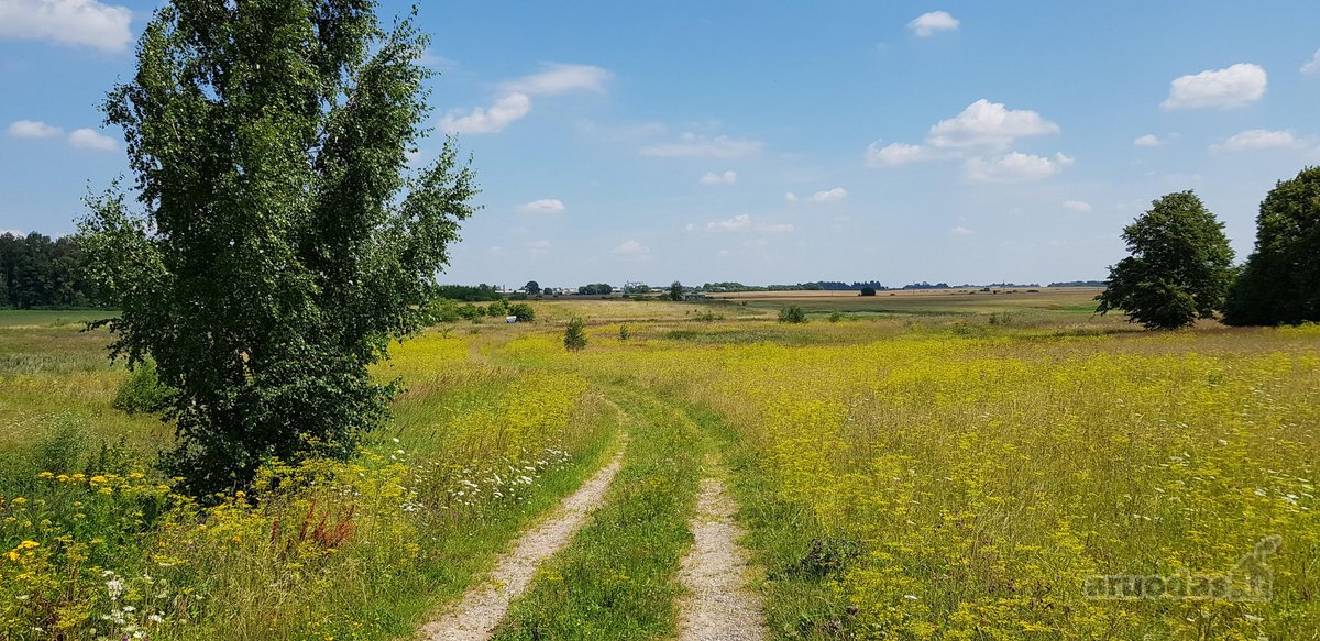 Parduodamas sklypas Šiaulių rajone, Ginkūnų