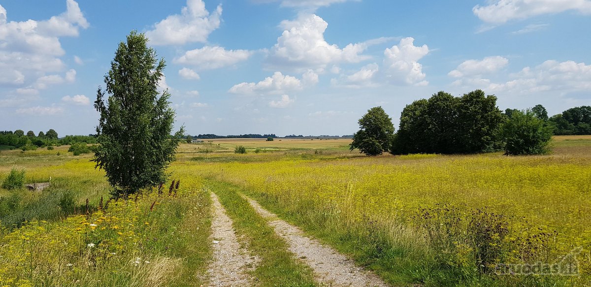 Parduodamas sklypas Šiaulių rajone, Ginkūnų - nuotraukos Nr. 4