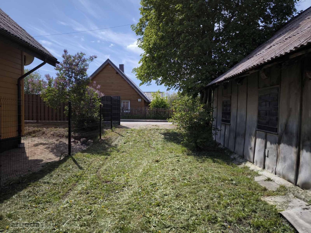 Rugpjūčio akcija  - nuotraukos Nr. 12