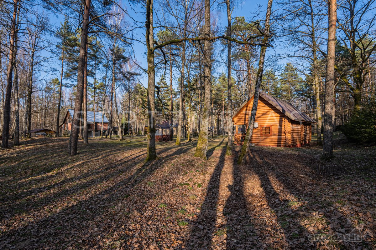 Išskirtinė Veikianti Poilsio Bazė Prie Nemuno - nuotraukos Nr. 24