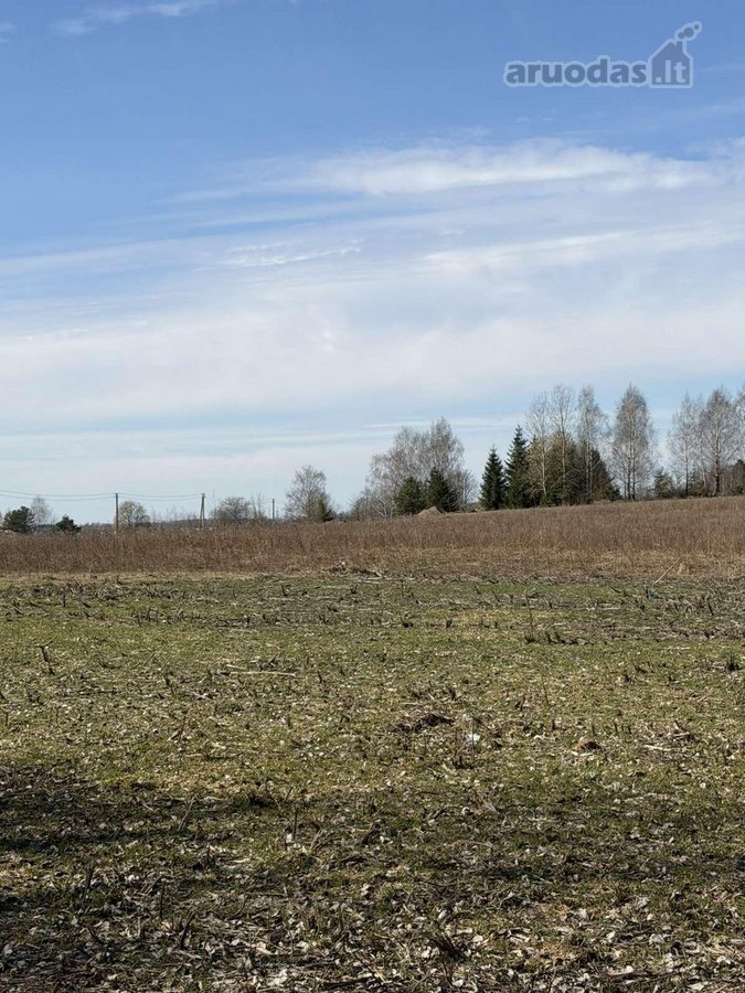 Lygus žemės ūkio paskirties žemės sklypas su