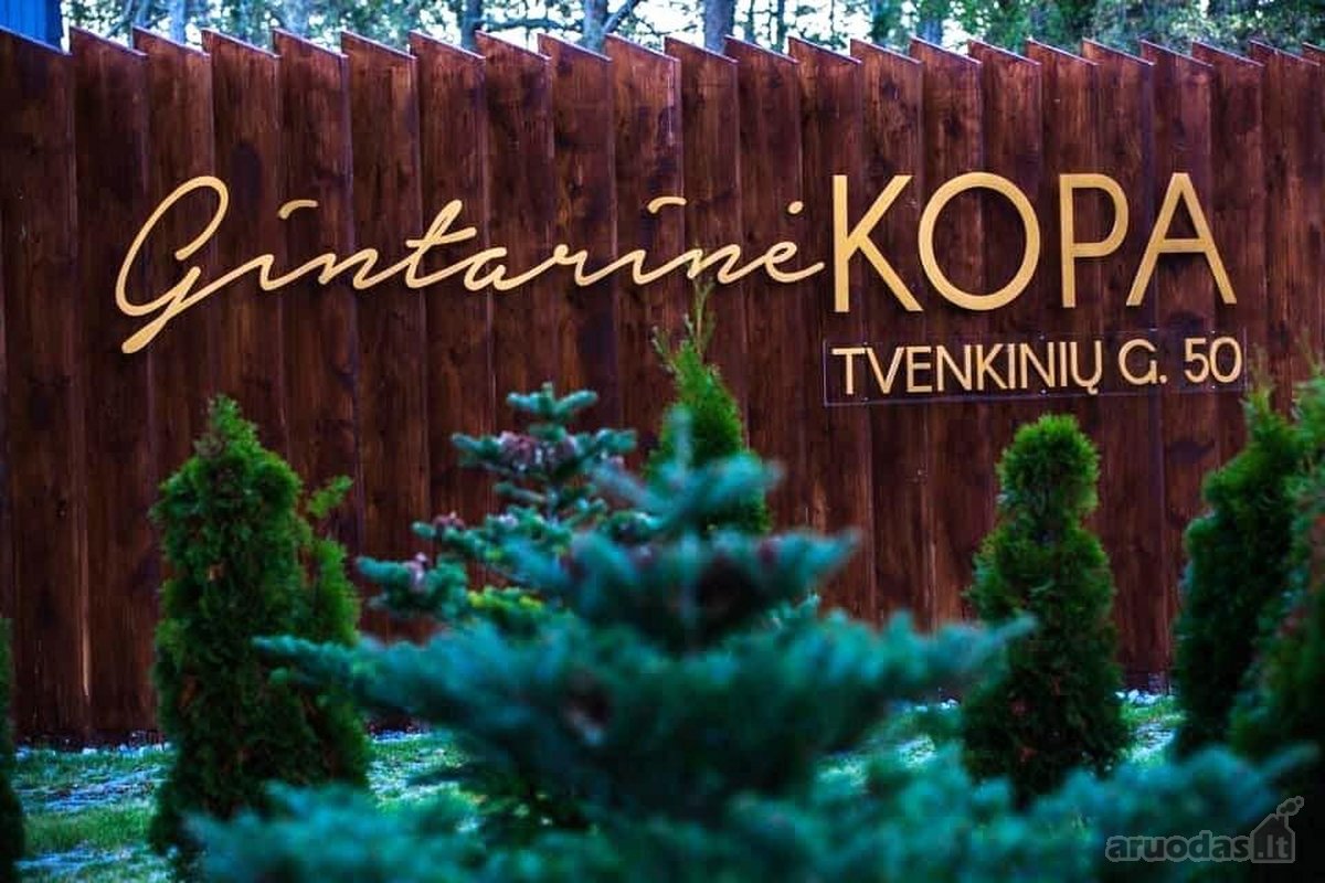 Pirmoje pušyno linijoje, komplekse “Gintarinė - nuotraukos Nr. 34