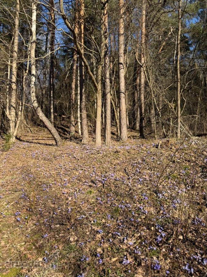 Parduodamas sklypas, skirtas dviejų - nuotraukos Nr. 9