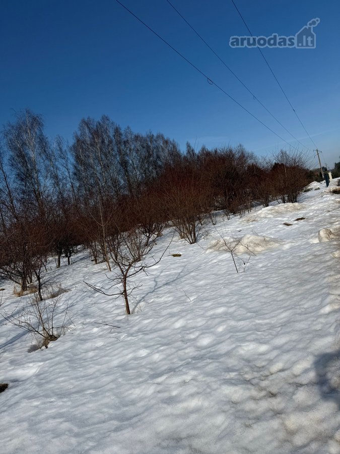  Plotas – 11 arų