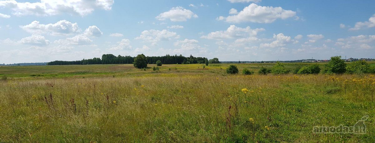 Parduodamas sklypas Šiaulių rajone, Ginkūnų - nuotraukos Nr. 7